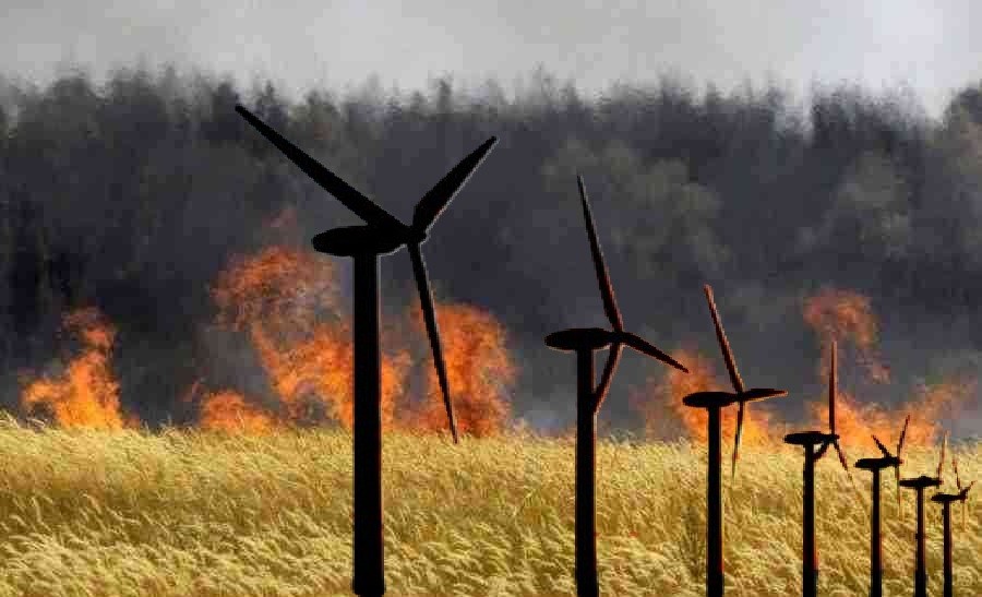 Εκδικάστηκε από το ΣτΕ η υπόθεση των αιολικών σε αναδασωτέες εκτάσεις του&nbsp;Έβρου